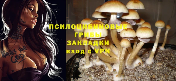 не бодяженный Аркадак