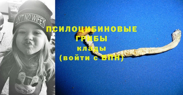 не бодяженный Аркадак