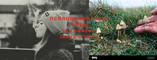 не бодяженный Аркадак
